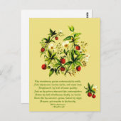Carte Postale Fleurs vintages de fraises Shakespeare Postca (Devant / Derrière)