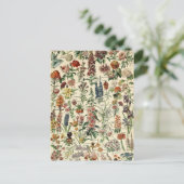 Carte Postale Fleurs vintages par Adolphe Millot (Debout devant)