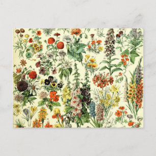 Carte Postale Fleurs vintages Vieux art d'illustration