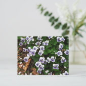 Carte Postale Fleurs violettes (Debout devant)