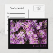 Carte postale Fleurs violettes (Devant / Derrière)