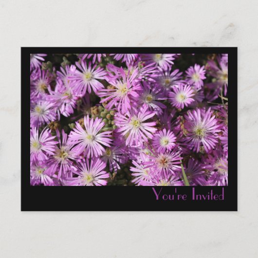 Carte postale Fleurs violettes (Devant)
