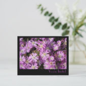Carte postale Fleurs violettes (Debout devant)