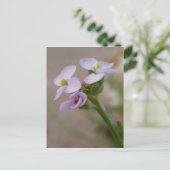 Carte postale Fleurs violettes (Debout devant)