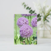 Carte postale Fleurs violettes (Debout devant)
