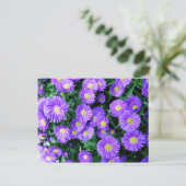 Carte Postale Fleurs violettes (Debout devant)