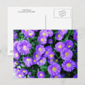 Carte Postale Fleurs violettes (Devant / Derrière)