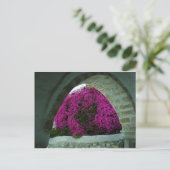 Carte Postale Fleurs violettes à travers une arche. (Debout devant)