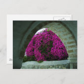 Carte Postale Fleurs violettes à travers une arche. (Devant / Derrière)