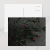 Carte Postale Fleurs violettes avec ombres profondes (Devant / Derrière)