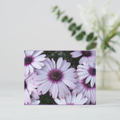 Carte Postale Fleurs violettes claires avec Arrière - plan viole (Debout devant)