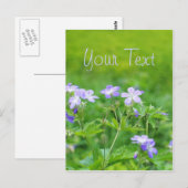 Carte Postale Fleurs violettes dans le champ (Devant / Derrière)