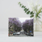 Carte Postale Fleurs violettes de Lisbonne (Debout devant)