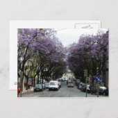 Carte Postale Fleurs violettes de Lisbonne (Devant / Derrière)