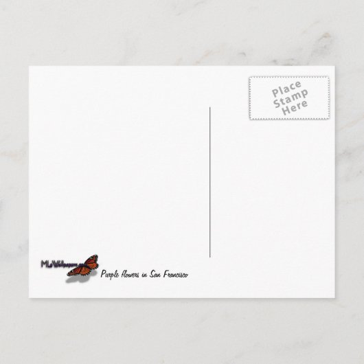Carte Postale Fleurs violettes de San Francisco (Dos)