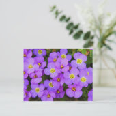 Carte Postale Fleurs violettes Peace Love Destiny (Debout devant)