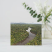 Carte Postale Fleuve Essequibo, plus long fleuve de Guyana, et 5 (Debout devant)