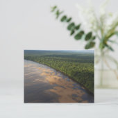 Carte Postale Fleuve Essequibo, plus long fleuve de Guyane, et 3 (Debout devant)