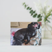 Carte Postale Flicker de la langue (Debout devant)