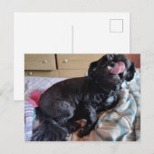 Carte Postale Flicker de la langue (Devant / Derrière)