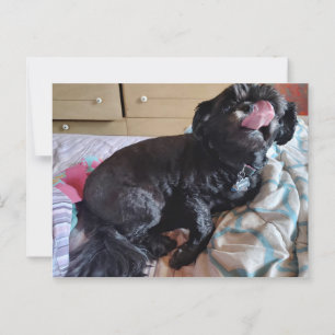 Carte Postale Flicker de la langue