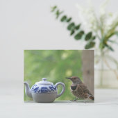 Carte Postale Flicker et théière (Debout devant)