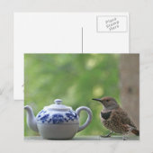 Carte Postale Flicker et théière (Devant / Derrière)