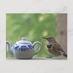 Carte Postale Flicker et théière