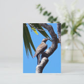 Carte Postale Flickr du Nord (Debout devant)