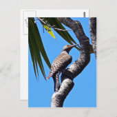 Carte Postale Flickr du Nord (Devant / Derrière)