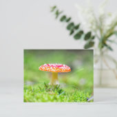 Carte Postale Fliegenpilz (Debout devant)