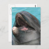 Carte postale Flipper (Devant / Derrière)