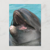 Carte postale Flipper (Devant)