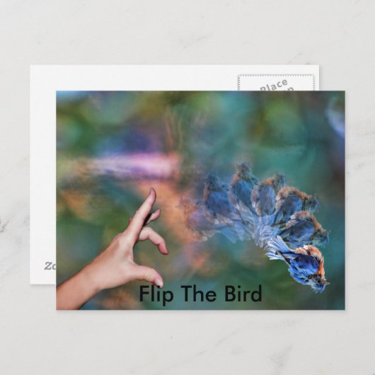 Carte Postale FlipTheBird, (Devant / Derrière)