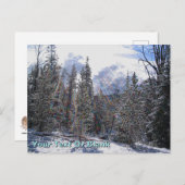 Carte Postale Floatplane De Havilland Beaver (Devant / Derrière)