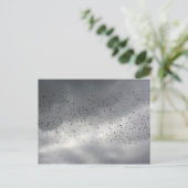 Carte postale Flock (Debout devant)