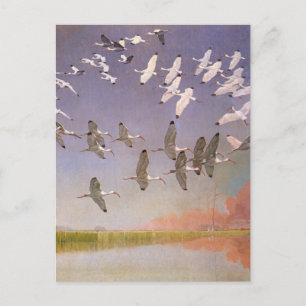 Carte Postale Flock of Ibis Flying Over Wetlands, Vintage Birds