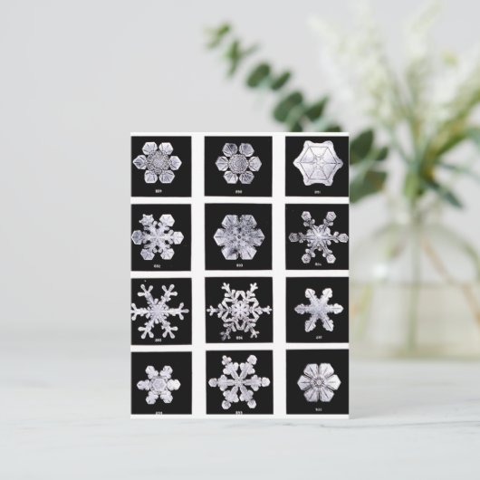 Carte Postale Flocon de neige (Debout devant)