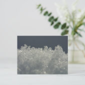 Carte Postale Flocons de neige de près (Debout devant)