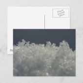 Carte Postale Flocons de neige de près (Devant / Derrière)