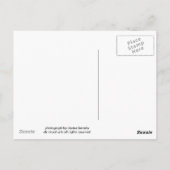 Carte Postale flocons de neige la nuit photo unique (Dos)