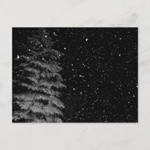 Carte Postale flocons de neige la nuit photo unique
