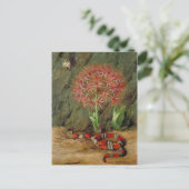 Carte Postale Flor Imperiale, Serpent de Corail et Araignée, Bré (Debout devant)
