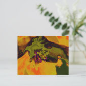 Carte Postale floraison de pommier (Debout devant)