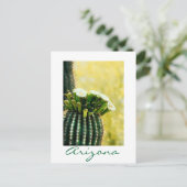 Carte Postale floraison d'un Saguaro (Debout devant)