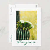 Carte Postale floraison d'un Saguaro (Devant / Derrière)