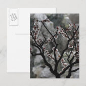 Carte Postale Floraisons (Devant / Derrière)