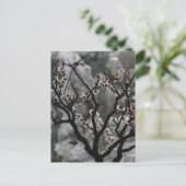 Carte Postale Floraisons (Debout devant)