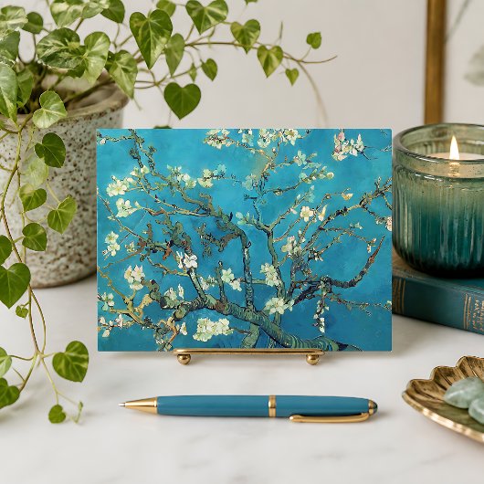 Carte Postale Floraisons d'amandiers