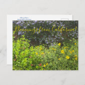Carte Postale Floraisons de Californie (Devant / Derrière)
